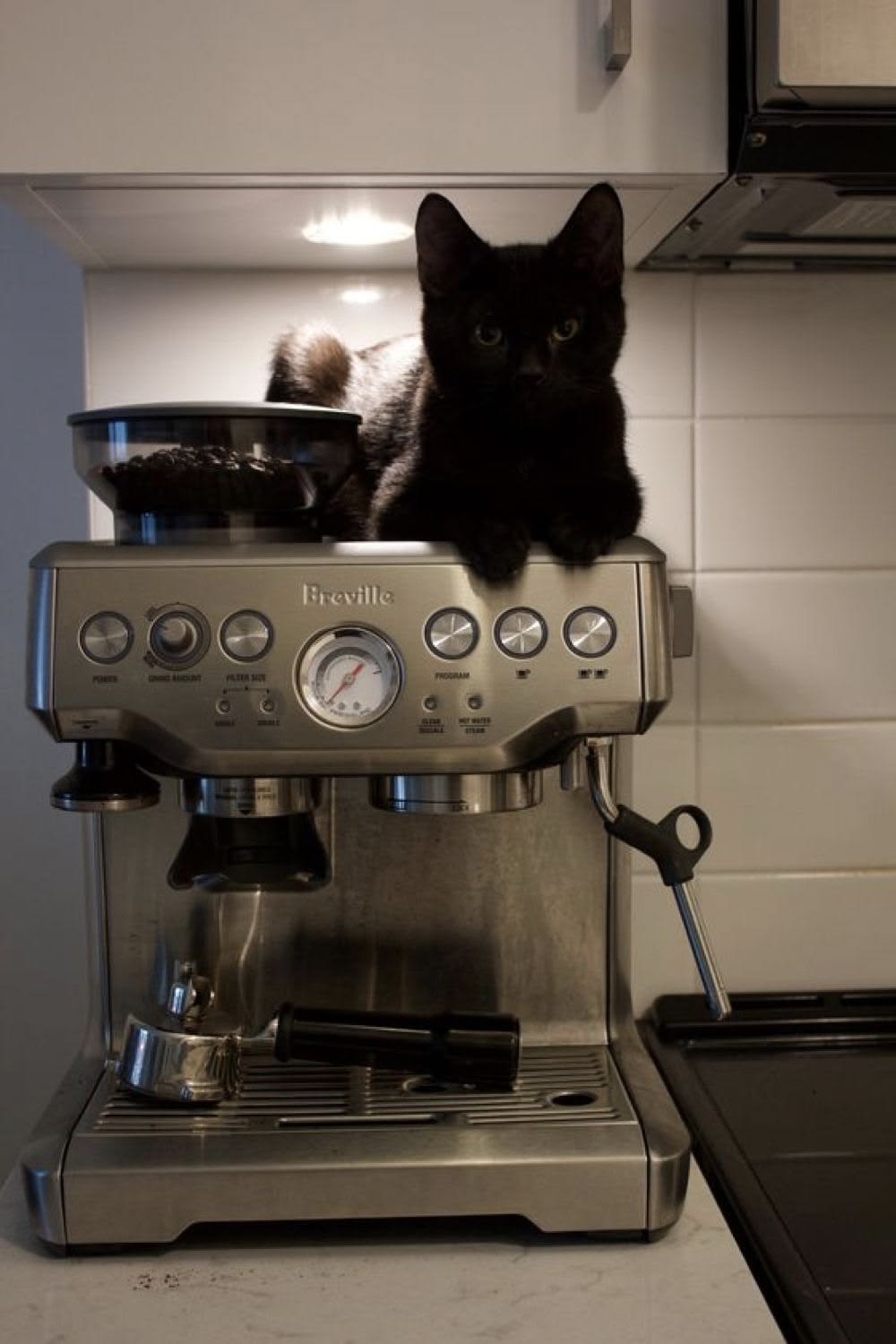 Coffee machine at a cafe counter
